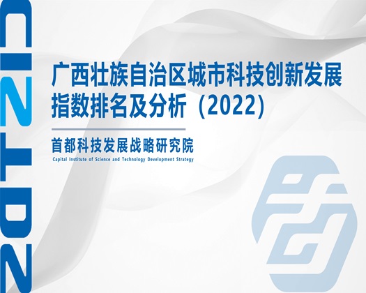 男的操白丝女人【成果发布】广西壮族自治区城市科技创新发展指数排名及分析（2022）